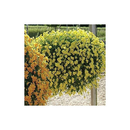 12 Inch Indoor Outdoor Balcony Patio Hanging Basket Set of 4