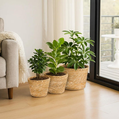 3pcs Grass Woven Flower Pots, Potted Plants, Rattan Flower Baskets, Decorations Suitable for Bedrooms, Living Rooms, Dining Tables, Green Plant Decoration Sets