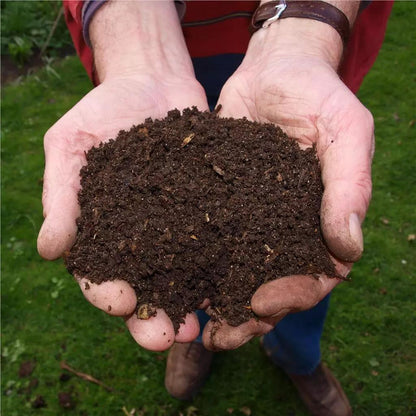 Growmoor Ericaceous Compost Garden Soil 50L for Azalea Camellia Rhododendron Heathers Hydrangeas Conifers Special Plants 50 Litre Bag
