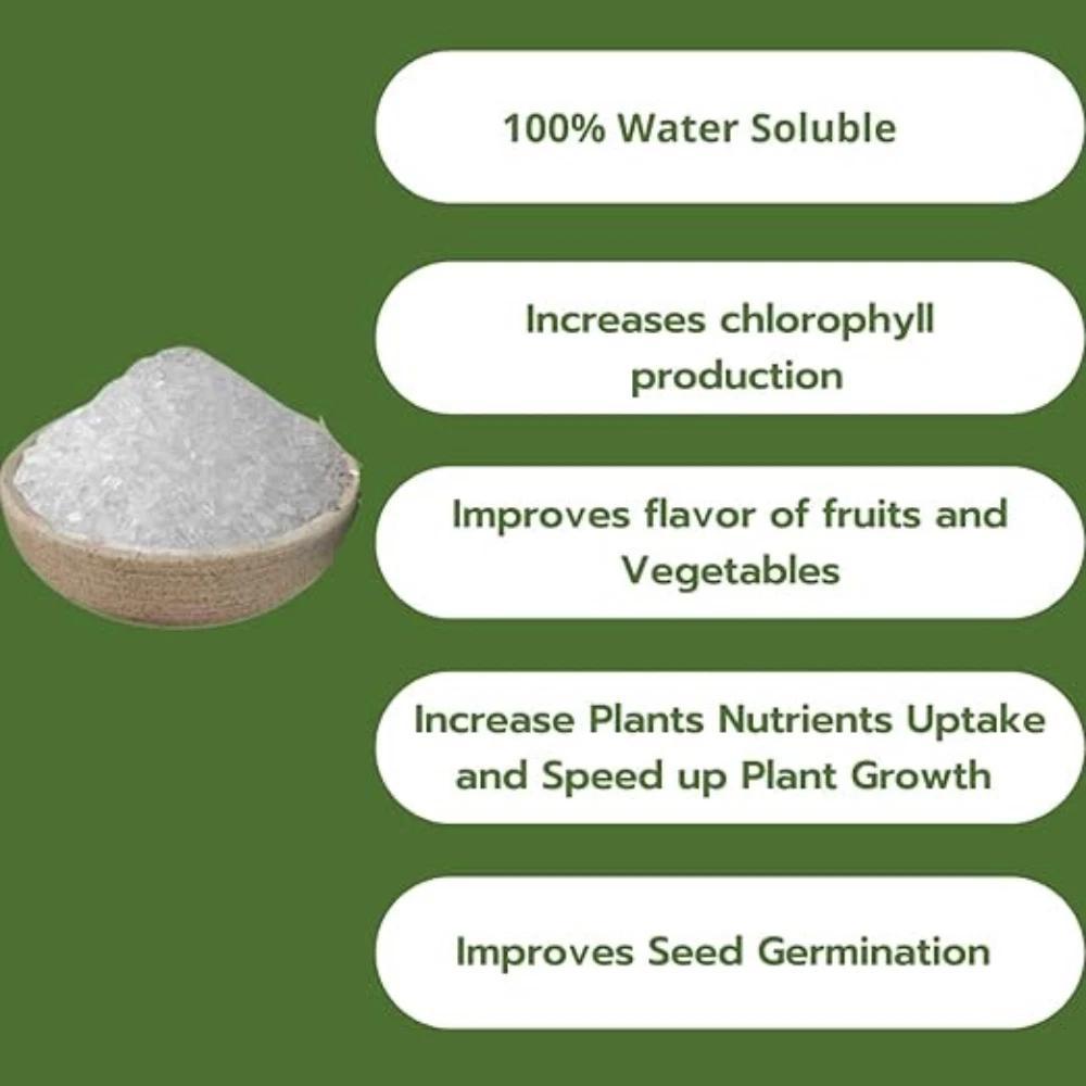 Vitax Epsom Salts 1.25kg – Magnesium Sulphate for Garden Use | Soil Additive for Plants, Shrubs & Vegetables