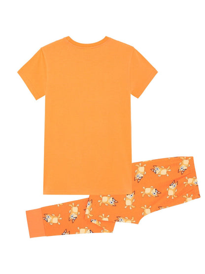 Bluey, Bingo, Chilli & Bandit 100% Combed Cotton Family Pyjamas Children's, Women's Christmas