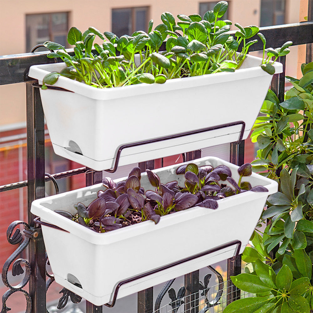 Balcony Vegetable Planter Box Set of 5 – Long Strip Plastic Window Box with Drainage & Tray, 2 Sizes, 4 Colours, for Herbs, Flowers & Succulents, Windowsill & Patio UK