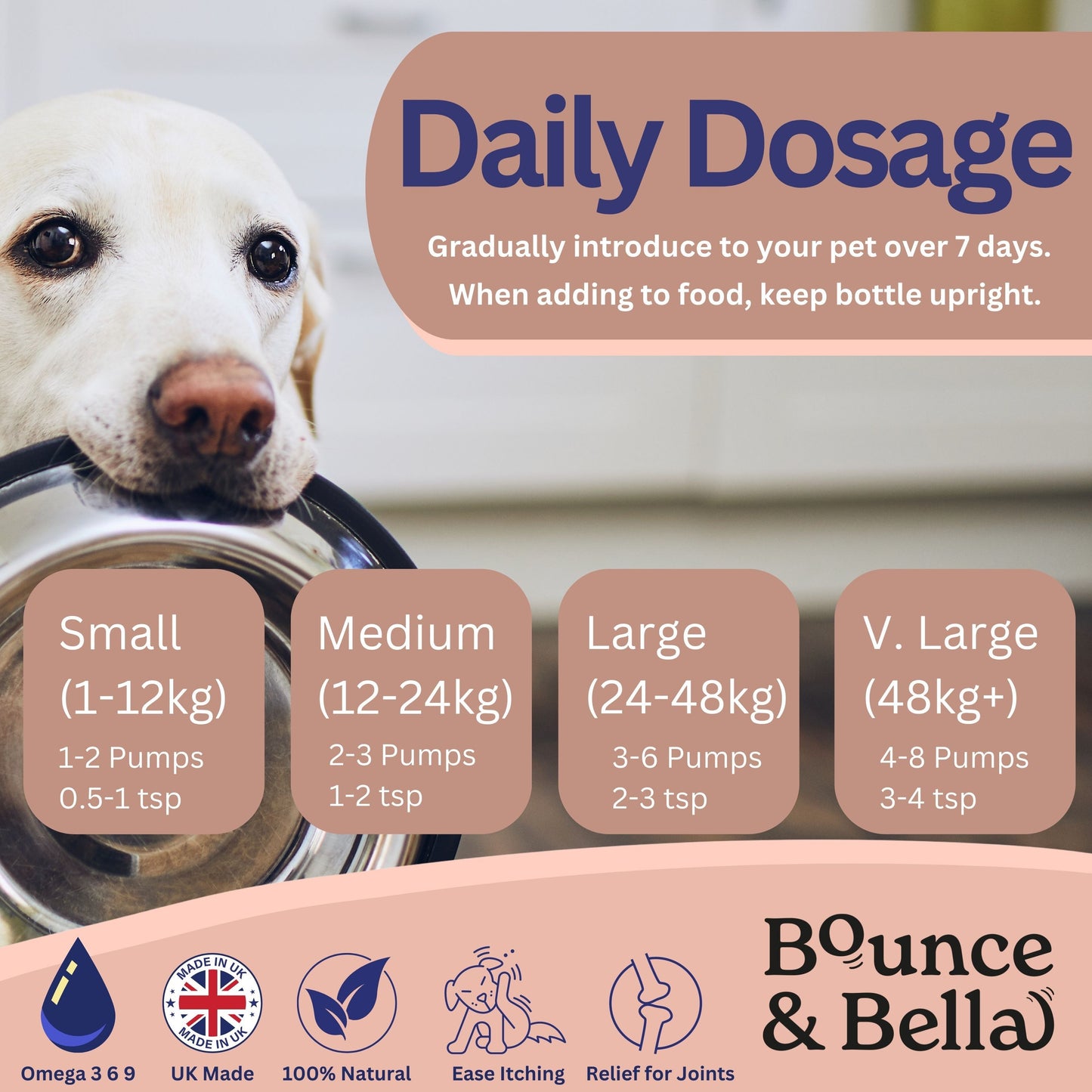 Scottish Salmon Oil for Dogs & Cats UK - Purity-Filtered Omega 3-6-9 Fish Oil Supplement, 500ml, Bounce and Bella