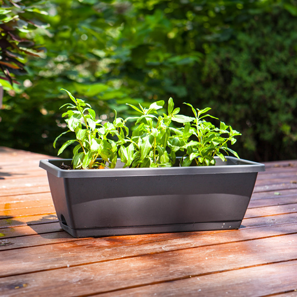 Balcony Vegetable Planter Box Set of 5 – Long Strip Plastic Window Box with Drainage & Tray, 2 Sizes, 4 Colours, for Herbs, Flowers & Succulents, Windowsill & Patio UK
