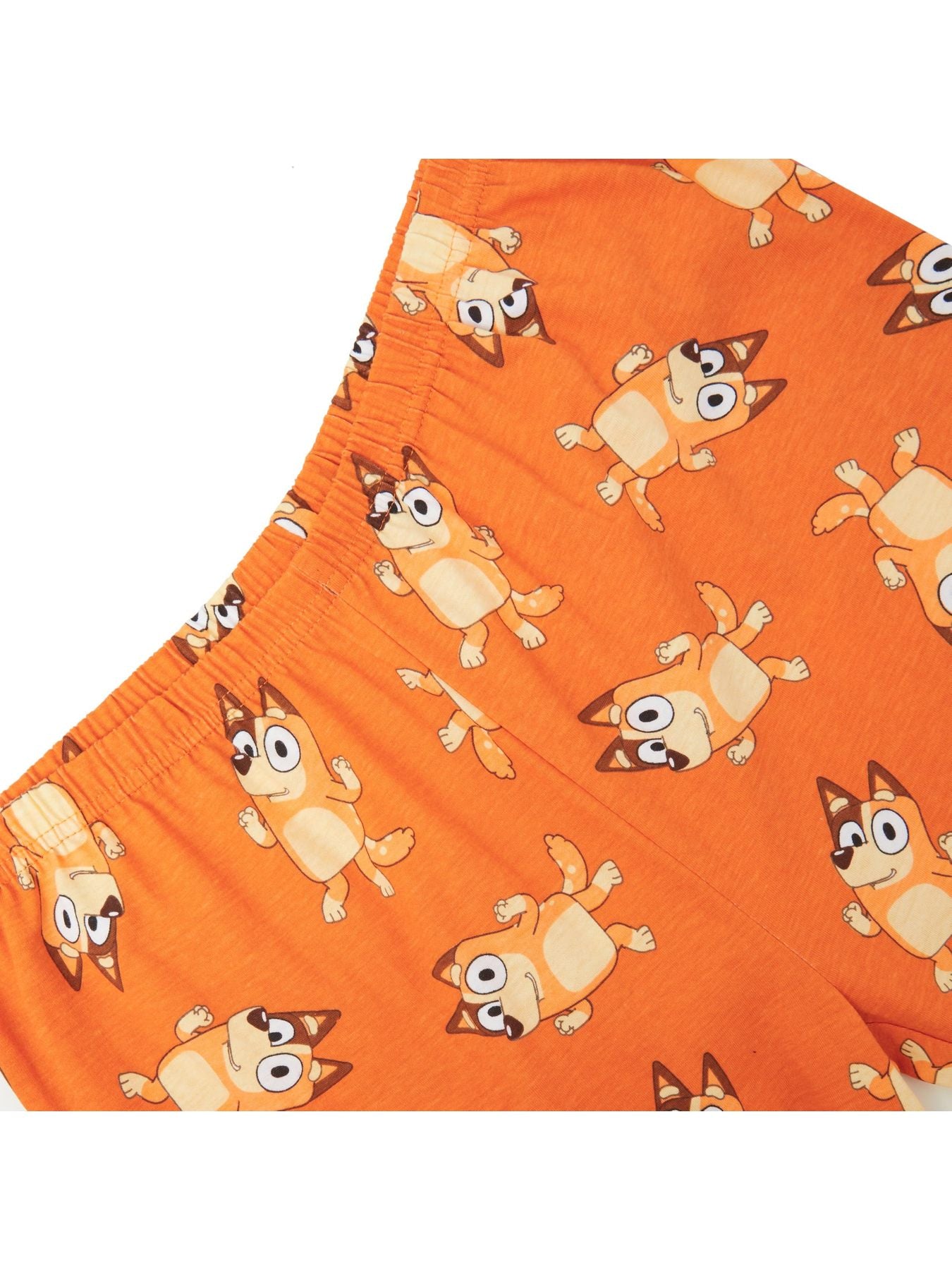 Bluey, Bingo, Chilli & Bandit 100% Combed Cotton Family Pyjamas Children's, Women's Christmas