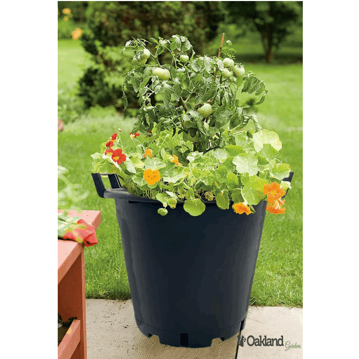 11 x Heavy Duty 30L Large Plant Pots Garden Potato Containers Buckets (Pack of 11) 30 Litre Plastic Planters for Outdoor Plants - Large Planter Pots for Gardens - Flowers, Vegetables & Trees