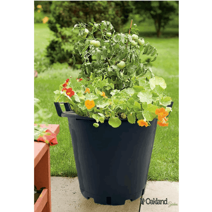 11 x Heavy Duty 30L Large Plant Pots Garden Potato Containers Buckets (Pack of 11) 30 Litre Plastic Planters for Outdoor Plants - Large Planter Pots for Gardens - Flowers, Vegetables & Trees