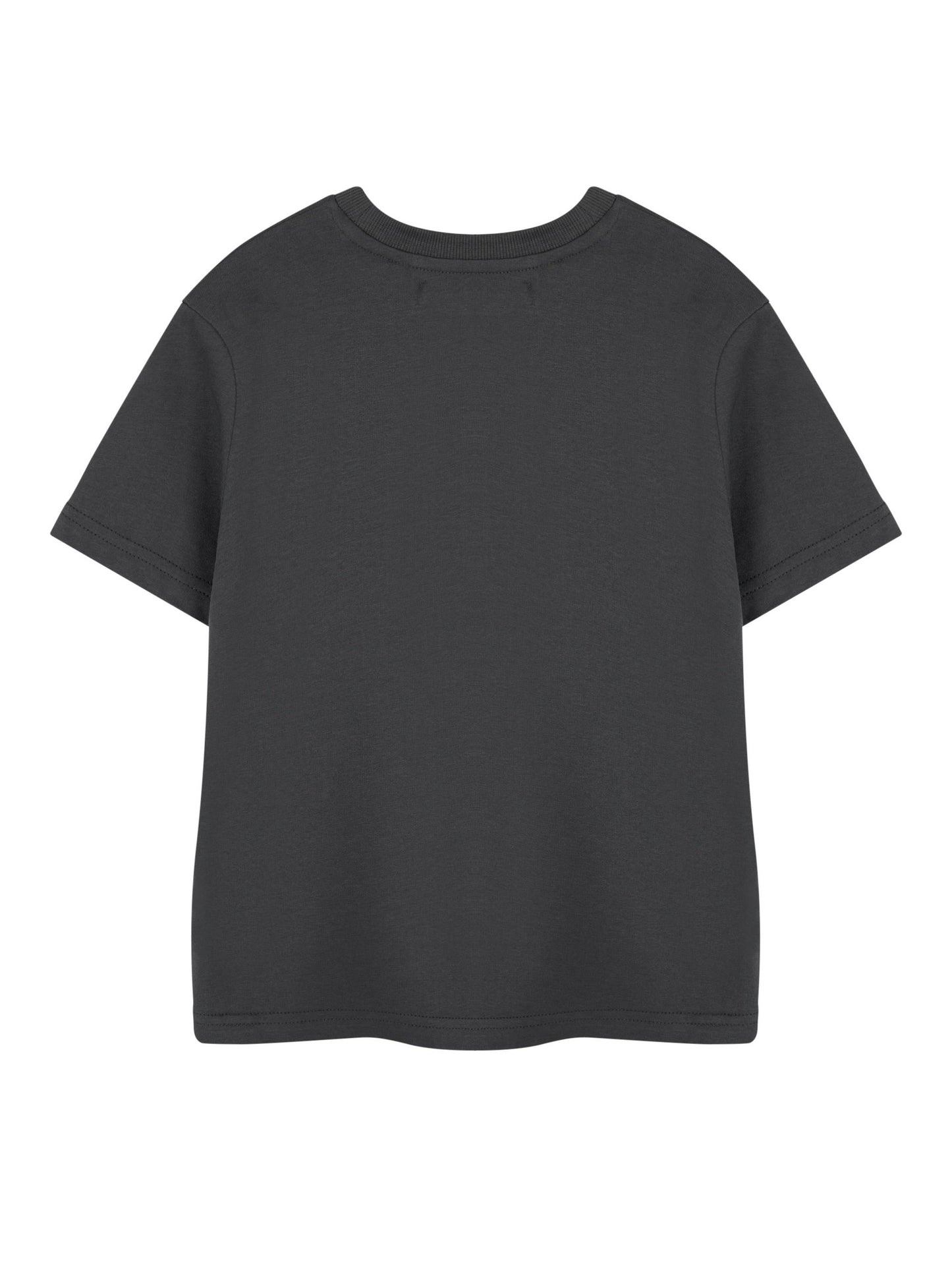 One Piece Pirate Life Boys Grey Short-Sleeved T-Shirt | Pirate Graphic Tee for Kids | Pirate Ship Adventure Theme Top Gift | Childrens Nautical Apparel | Boys Pirate Life Merchandise