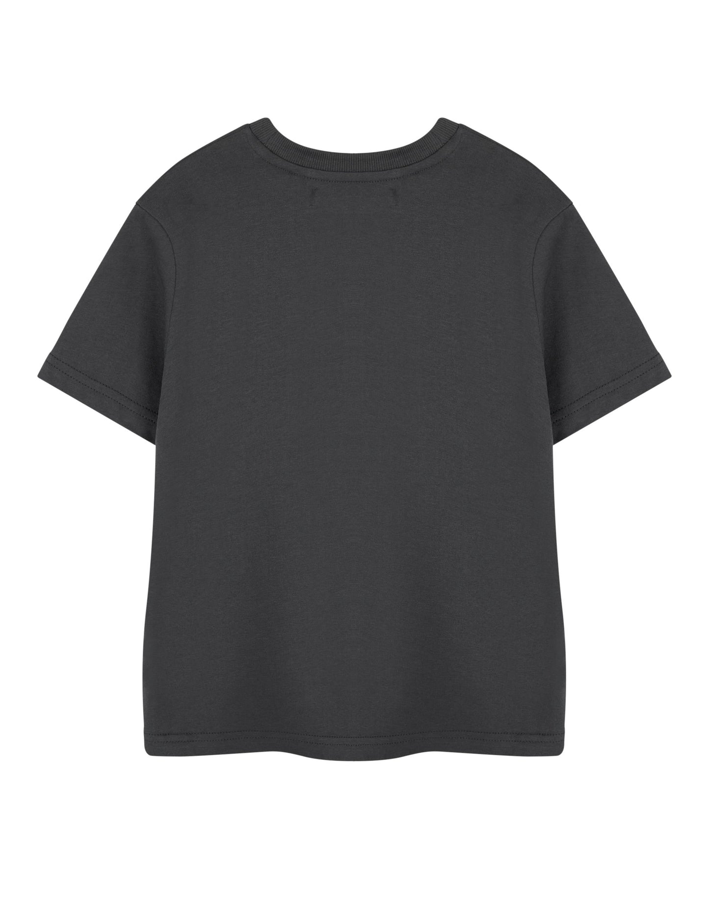 One Piece Pirate Life Boys Grey Short-Sleeved T-Shirt | Pirate Graphic Tee for Kids | Pirate Ship Adventure Theme Top Gift | Childrens Nautical Apparel | Boys Pirate Life Merchandise