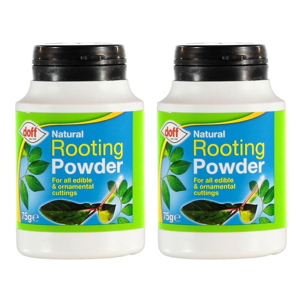 2 X Natural Rooting Powder for Plants 75G Suitable for Plant Cuttings