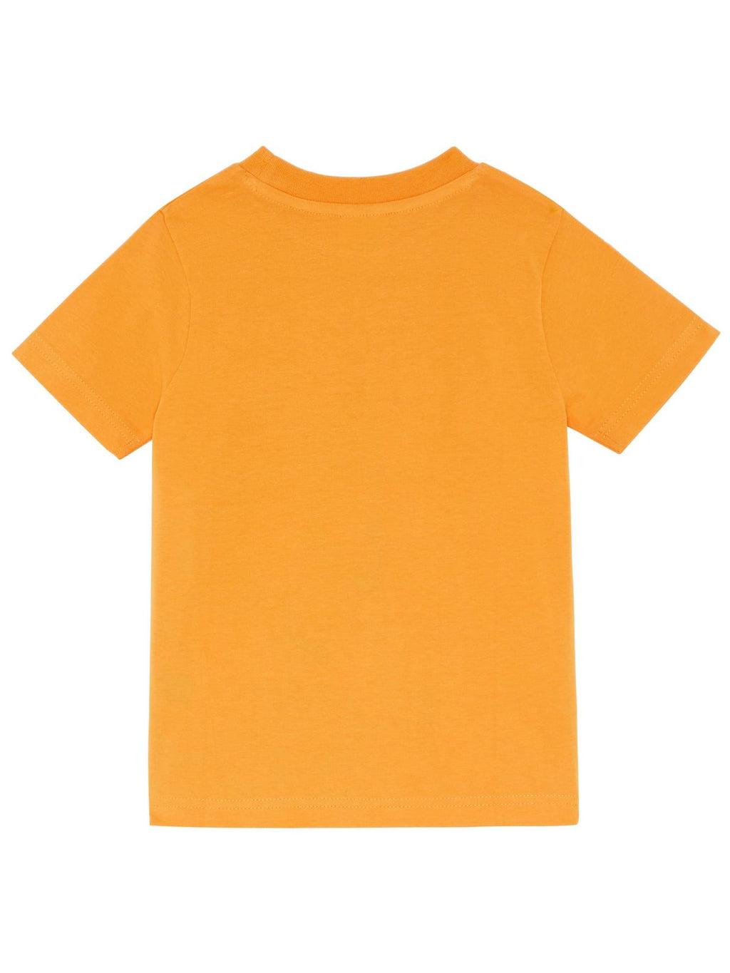 Bluey and Bingo Boys T-Shirts - Three-Pack