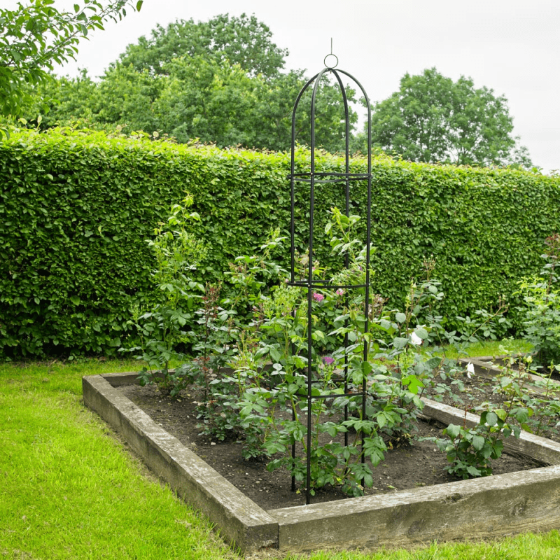Garden Obelisk | Made From Coated Steel Tubing with Easy Assembly | Stylish And Modern Design | Ideal For Climbing Plants, Roses, Shrubs, Trees and Perfect for Decoration | Pointed Feet For Stability
