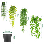 Artificial Hanging Plant with Plastic, 4 Piece for bedrooms - product gallery image 9