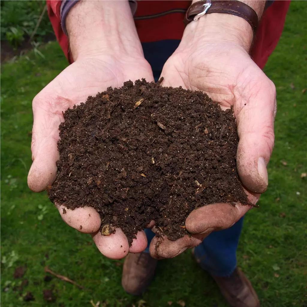 Growmoor Ericaceous Compost Garden Soil 50L for Azalea Camellia Rhododendron Heathers Hydrangeas Conifers Special Plants 50 Litre Bag