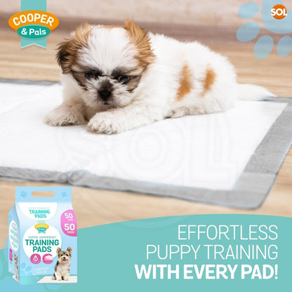 Puppy Training Pads 100 Pack Large 60x45cm | Super Absorbent Leak-Proof Dog Pee Pads with Odour Control | Bulk Disposable Toilet Mats for Housebreaking & Travel