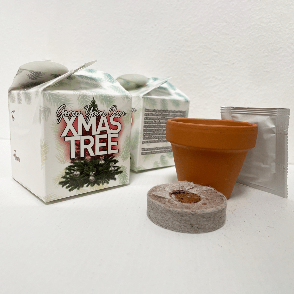 Grow Your Own Christmas Tree Mini Box Kits Teacher Thank You Kids Birthdays Parties Corporate Events Wedding Favours Christenings Xmas Holidays Gift Box Funerals