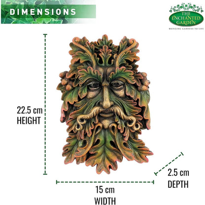 Green Man Wall Plaque 22.5cm – Wildwood Sage Tree Spirit Resin Sculpture for Garden Fence & Home Décor | Celtic Outdoor & Indoor Wall Ornament Gift