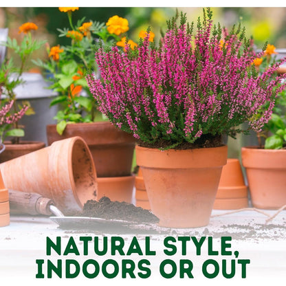 Clay Pots for Plants with Saucer - Terracotta Plant Pots with Drainage Hole, Pots for Plants for Indoor/Outdoor Use