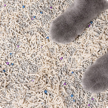 Original Tofu Cat Litter 6L - cat paws standing on pale tofu litter with coloured granules