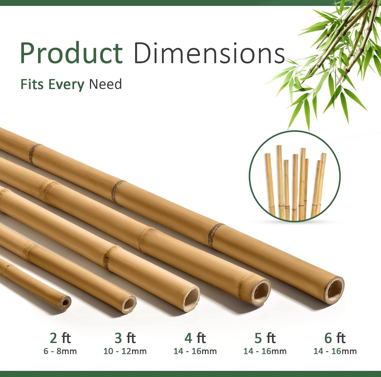 Bamboo Cane with 5FT, 16mm, pack of 30, Canes 5FT 14-16mm of Heavy Duty - product gallery image 10