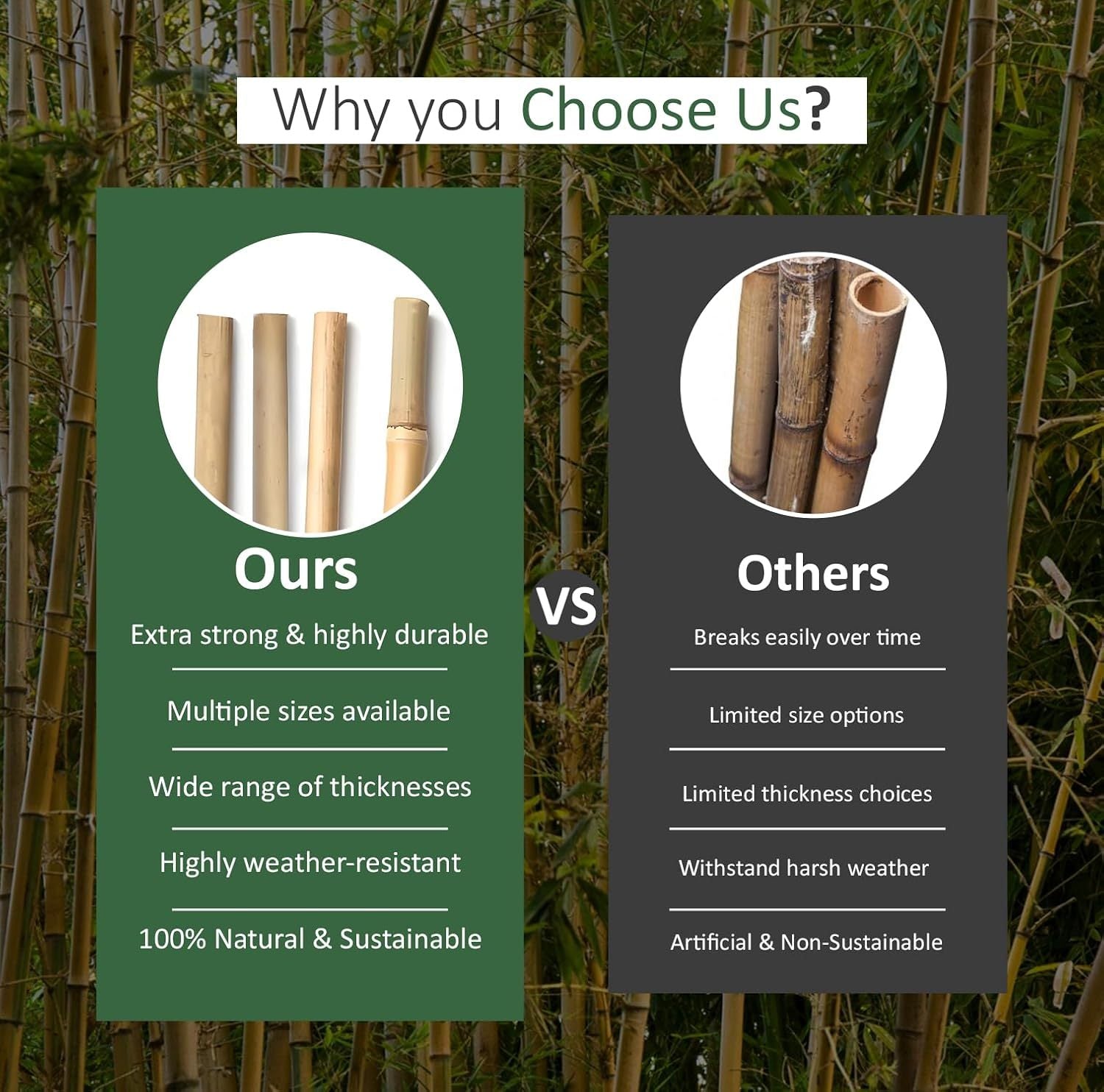 Bamboo Cane with 5FT, 16mm, pack of 30, Canes 5FT 14-16mm of Heavy Duty - product gallery image 15