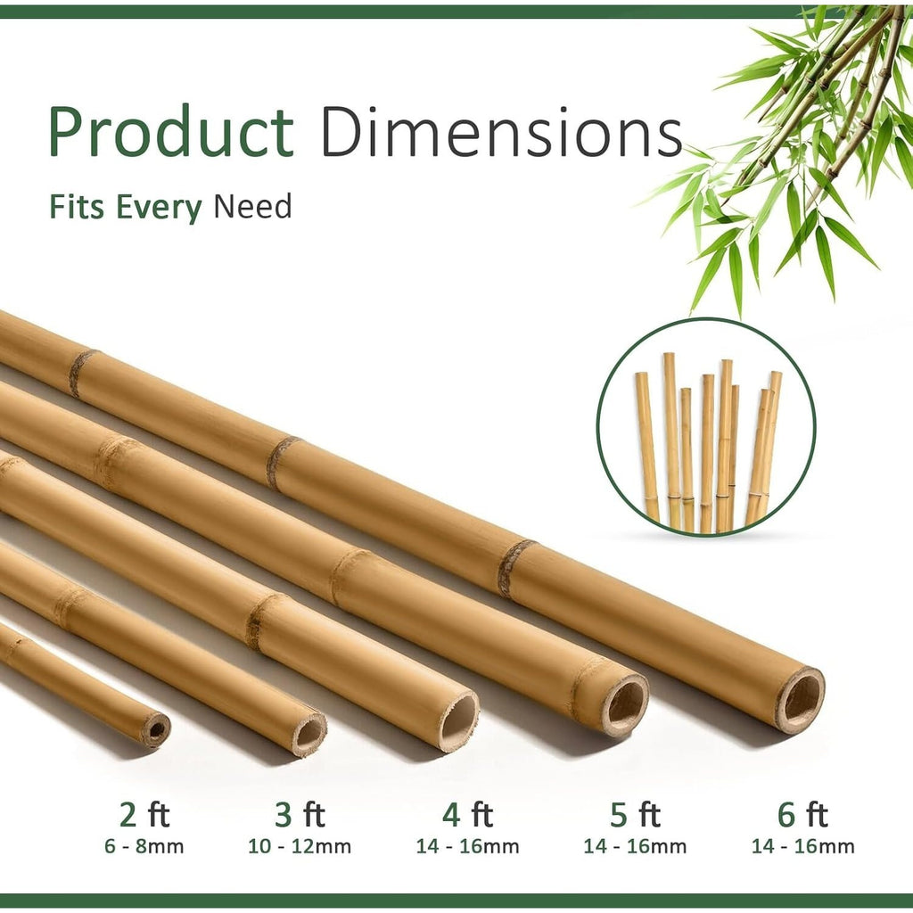 Bamboo Cane with 5FT, 16mm, pack of 30, Canes 5FT 14-16mm of Heavy Duty - product gallery image 8