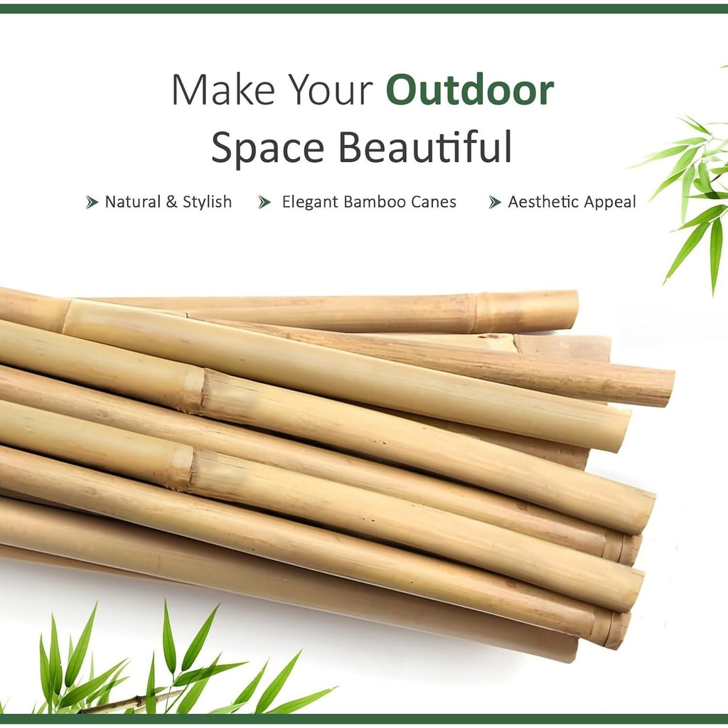 Bamboo Cane with 5FT, 16mm, pack of 30, Canes 5FT 14-16mm of Heavy Duty