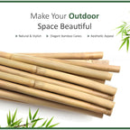 Bamboo Cane with 5FT, 16mm, pack of 30, Canes 5FT 14-16mm of Heavy Duty
