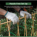 Bamboo Cane with 5FT, 16mm, pack of 30, Canes 5FT 14-16mm of Heavy Duty - pack of 30 option