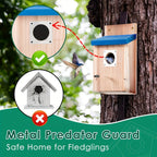 Bird Houses & Nesting Boxe with Metal, 2 Pack, 2Pcs, Wooden House Cedar Box Metal Guard - product gallery image 6