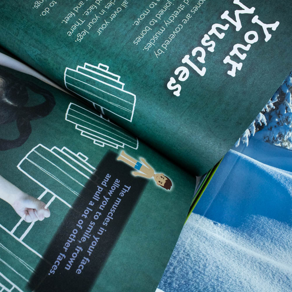 Book Collection Introduction to Science Beginners Series with 10 Book - product gallery image 7