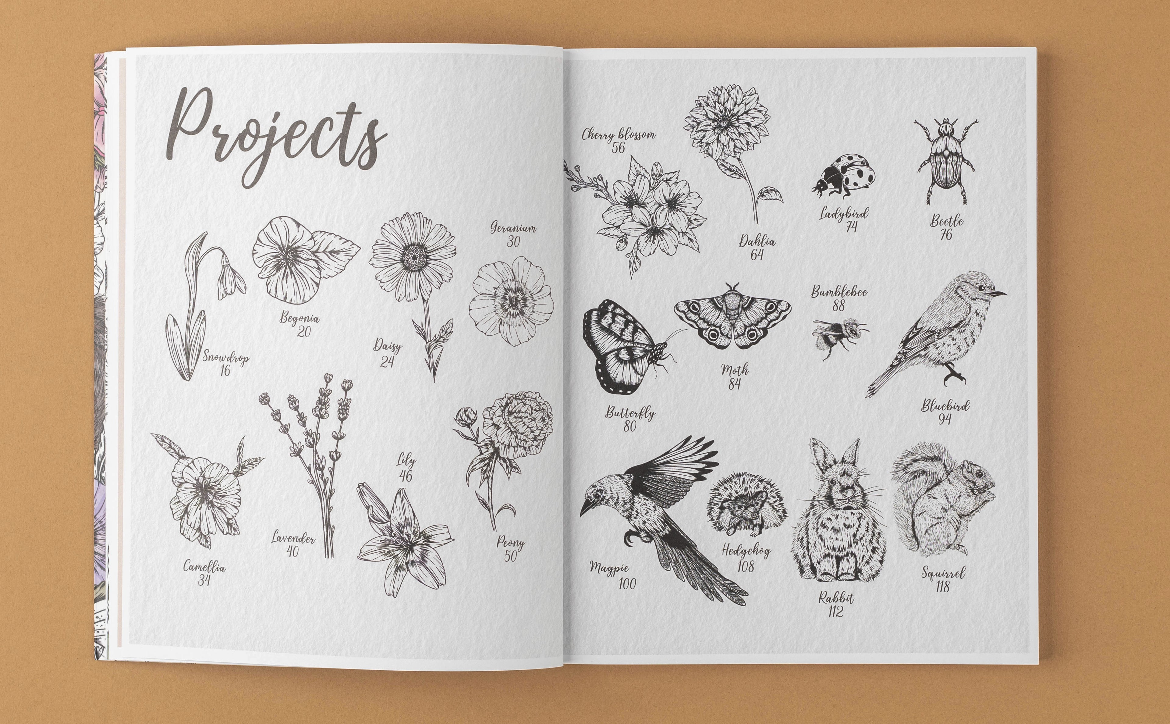 Book Collection Kew of Drawing Flora Fauna Art for readers and collectors - product gallery image 12