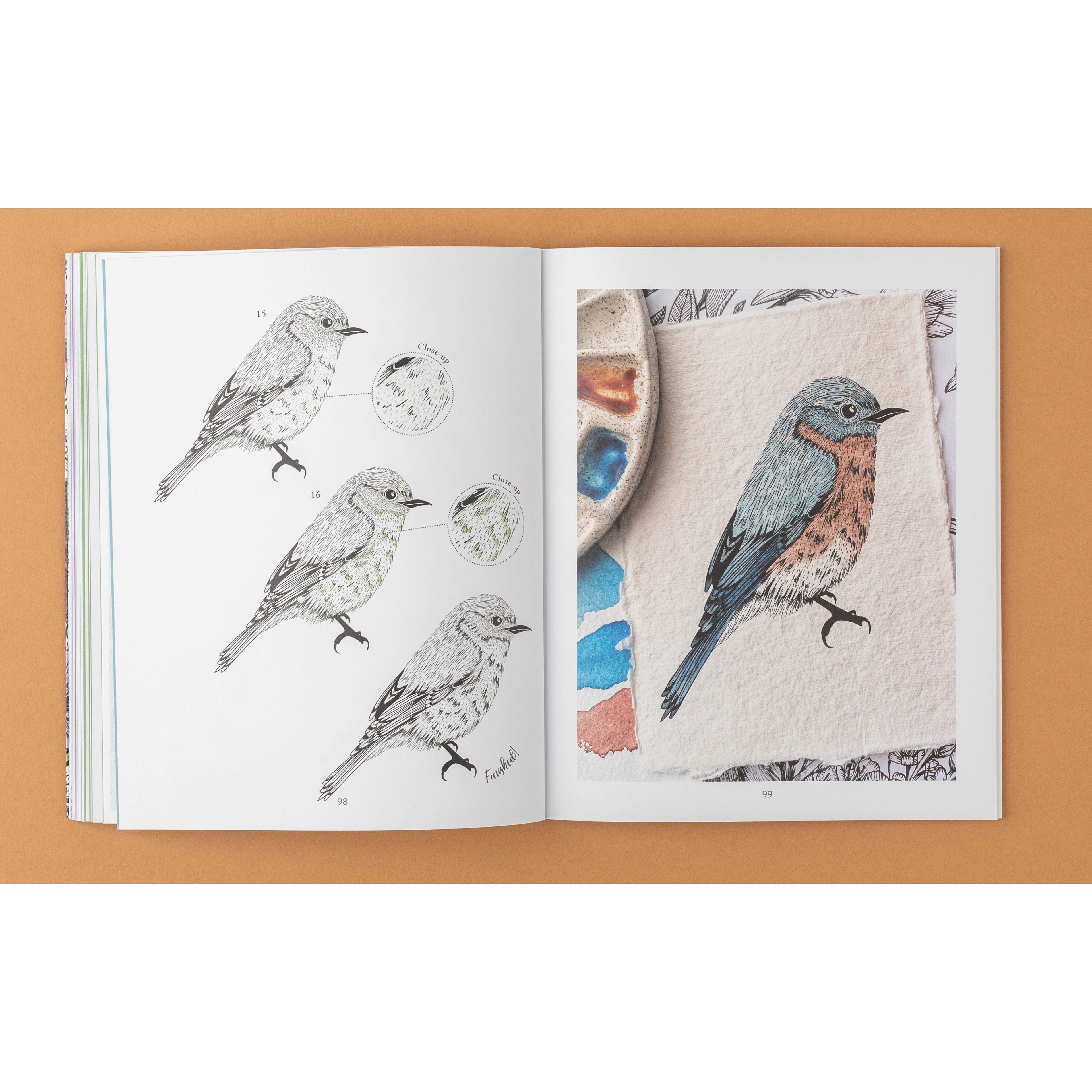 Book Collection Kew of Drawing Flora Fauna Art for readers and collectors - product gallery image 4