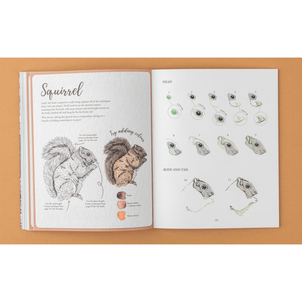 Book Collection Kew of Drawing Flora Fauna Art for readers and collectors - product gallery image 6