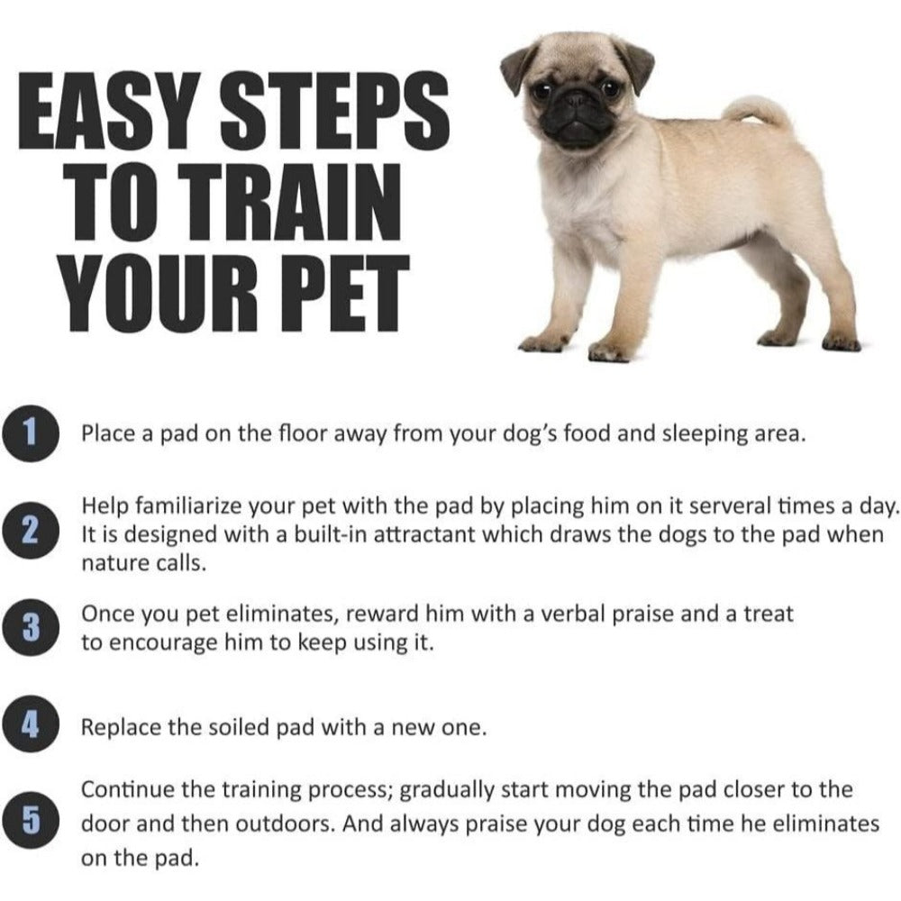 Puppy Training Pads 56x56cm – 50 & 100 Pack Super Absorbent Dog Pee Pads with Leakproof Backing, Odour Control & Fast Dry Surface | House Training, Crates & Travel