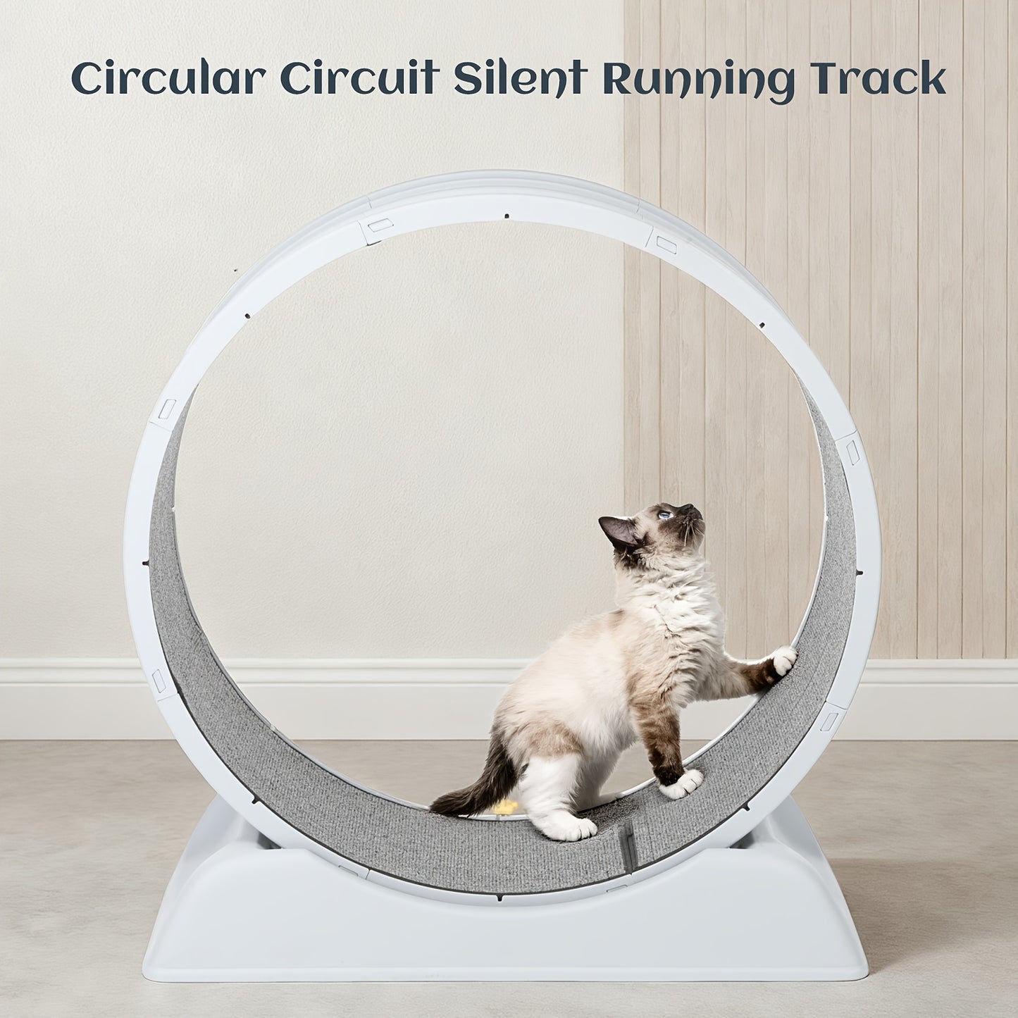 Cat Exercise Wheel, Plastic Wheel with Carpeted Runway, Easy to Install & Fitness & Health, Suitable for Most Cats, 79 Cm, for Indoor Cats