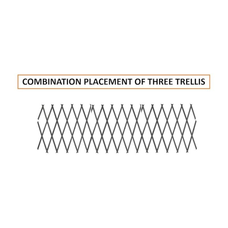 3 Pack Wooden Trellis Expandable Garden Wall For Climbing Plants Support 6 x 2ft (Grey)