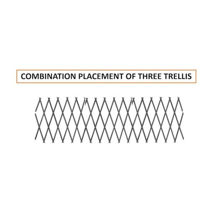 3 Pack Wooden Trellis Expandable Garden Wall For Climbing Plants Support 6 x 2ft (Grey)