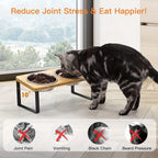 Cat Bowls & Feeding Station with Dishwasher-Safe, Non-Slip - product gallery image 7