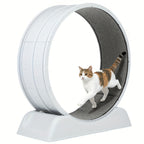 Cat Exercise Wheel with Wheels, 79 Cm, Plastic Carpeted Runway, Easy to Install - product gallery image 3