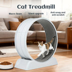 Cat Exercise Wheel with Wheels, 79 Cm, Plastic Carpeted Runway, Easy to Install - product gallery image 7