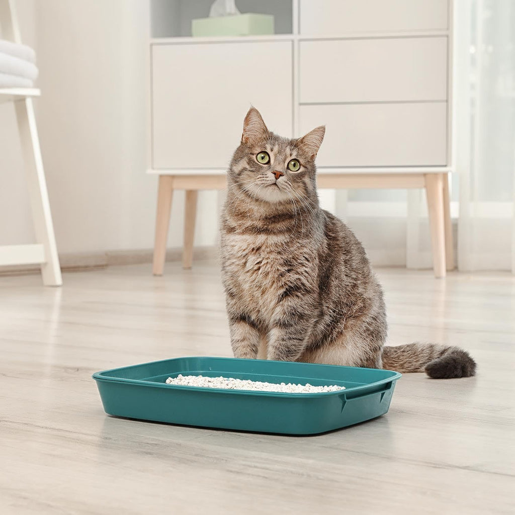 Cat Litter with 3L, Clumping Lavender Scented White Granules - product gallery image 5