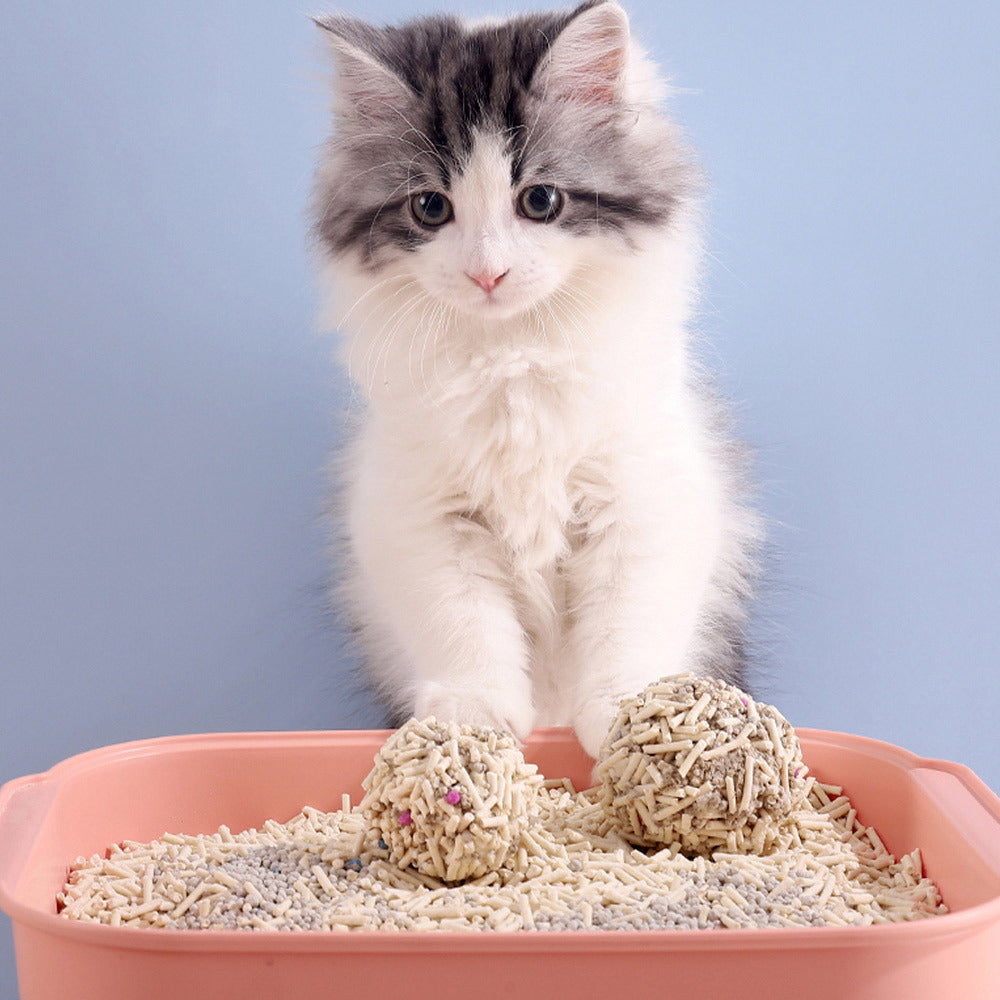 Cat Litter with 6L, Original Tofu Coloured Clumping Granules - product gallery image 2