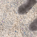 Cat Litter with 6L, Original Tofu Coloured Clumping Granules