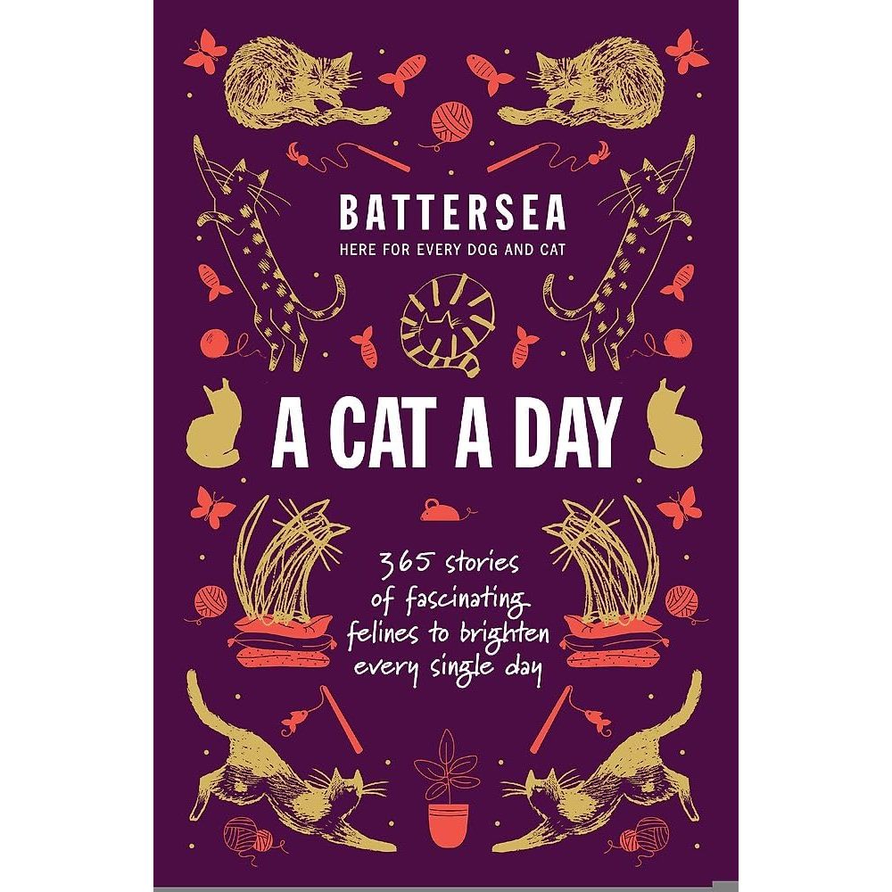 Cat Lover Book Day Fascinating Feline Stories by Battersea with 1