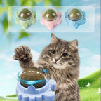 Cat Toy with 3pcs, Natural Rattan Balls 3pcs Interactive Chew - product gallery image 5