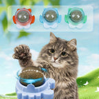 Cat Toy with 3pcs, Natural Rattan Balls 3pcs Interactive Chew - product gallery image 6