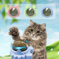 Cat Toy with 3pcs, Natural Rattan Balls 3pcs Interactive Chew