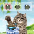 Cat Toy with 3pcs, Natural Rattan Balls 3pcs Interactive Chew