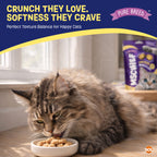 Cat Treats & Snack with 6 Pack, 6pk, Chicken Flavour Pillow Snacks Crunchy Outside - product gallery image 5